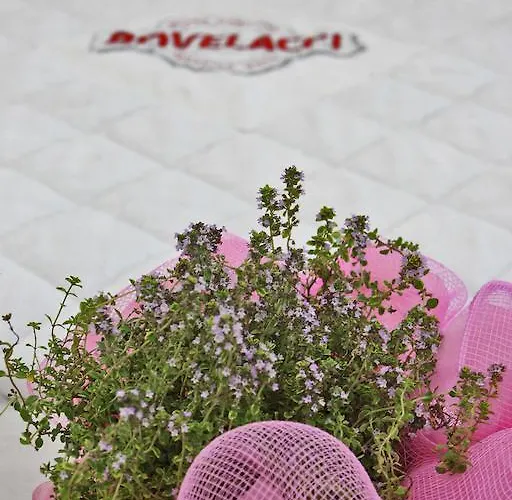 Hotell Boutique Paradiso Bovelacci