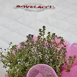 호텔 Boutique Paradiso Bovelacci