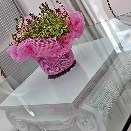 Boutique Paradiso Bovelacci Milano Marittima