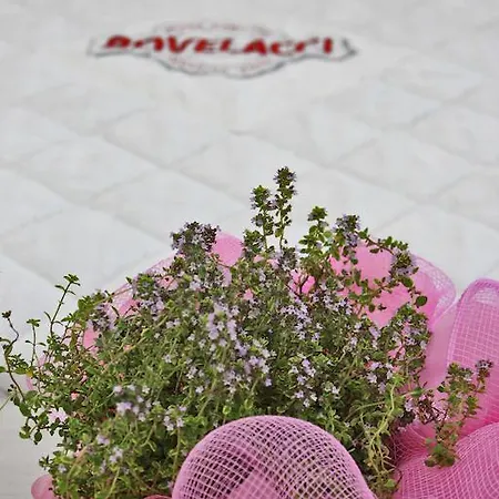 Hotel Boutique Paradiso Bovelacci